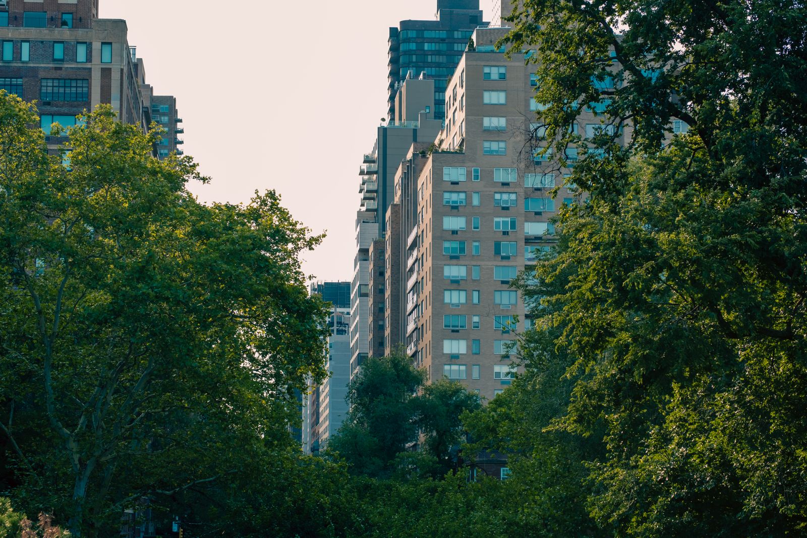 A scenic view of apartment buildings amidst lush trees in New York City.